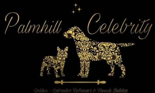 PALMHILL CELEBRITY – ΜΟΣΧΟΠΟΥΛΟΣ ΔΙΟΝΥΣΗΣ – ΕΚΠΑΙΔΕΥΤΗΣ ΖΩΩΝ – ΞΕΝΟΔΟΧΕΙΟ ΚΑΤΟΙΚΙΔΙΩΝ – ΑΥΛΩΝΑΣ ΑΤΤΙΚΗΣ