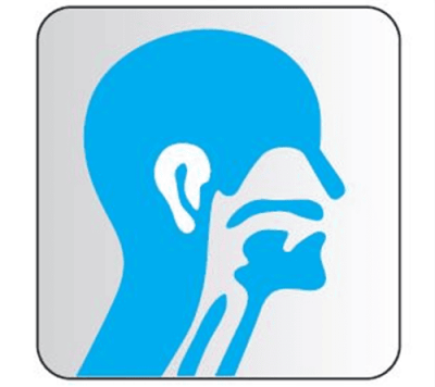 ΠΑΦΛΗΣ ΜΙΧΑΗΛ – ΩΤΟΡΙΝΟΛΑΡΥΓΓΟΛΟΓΟΣ – ΑΘΗΝΑ ΠΛΑΤΕΙΑ ΜΑΒΙΛΗ ΑΜΠΕΛΟΚΗΠΟΙ ΑΤΤΙΚΗ