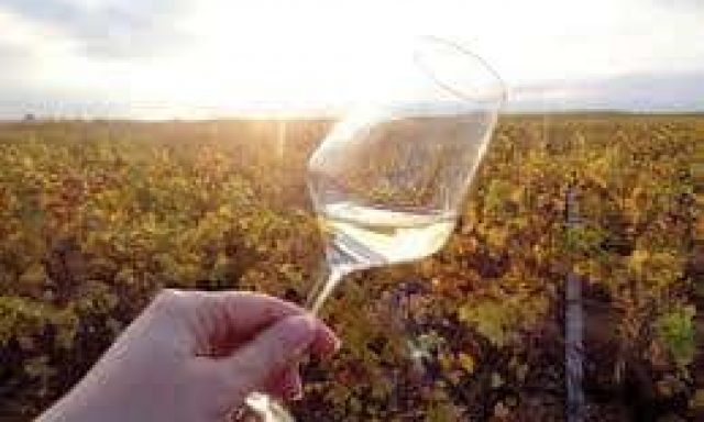 A CETO E VINO – ΟΙΝΟΠΟΙΪΑ ΠΟΤΟΠΟΙΪΑ – ΕΞΑΜΙΛΙΑ ΚΟΡΙΝΘΟΣ