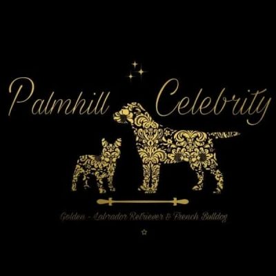 PALMHILL CELEBRITY – ΜΟΣΧΟΠΟΥΛΟΣ ΔΙΟΝΥΣΗΣ – ΕΚΠΑΙΔΕΥΤΗΣ ΖΩΩΝ – ΞΕΝΟΔΟΧΕΙΟ ΚΑΤΟΙΚΙΔΙΩΝ – ΑΥΛΩΝΑΣ ΑΤΤΙΚΗΣ