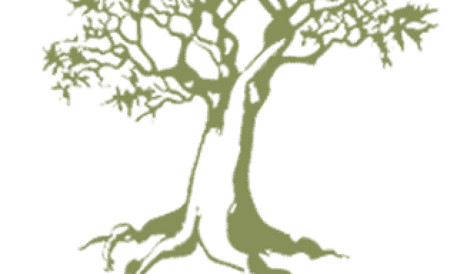 LAERTIS HANDMADE OLIVEWOOD HOUSE – ΝΙΚΟΥ ΜΙΧΑΛΗΣ – ΞΥΛΟΓΛΥΠΤΙΚΗ – ΕΠΕΞΕΡΓΑΣΙΑ ΞΥΛΟΥ – ΑΧΙΛΛΕΙΟΝ ΚΕΡΚΥΡΑ