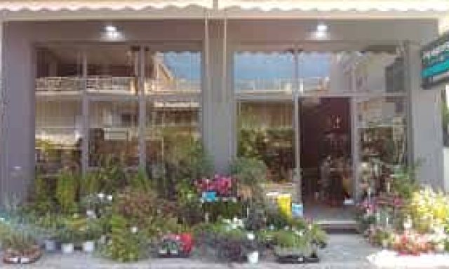 ΠΑΠΑΓΕΩΡΓΙΟΥ Π. ΚΑΙ ΣΙΑ Ε.Ε. – ΑΝΘΟΠΩΛΕΙΟ ΧΟΝΔΡΙΚΟ ΕΜΠΟΡΙΟ ΛΟΥΛΟΥΔΙΩΝ ΚΑΙ ΦΥΤΩΝ PAPAGEORGIOU FLOWERS AND MORE – ΛΑΜΙΑ ΦΘΙΩΤΙΔΑ