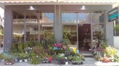 ΠΑΠΑΓΕΩΡΓΙΟΥ Π. ΚΑΙ ΣΙΑ Ε.Ε. – ΑΝΘΟΠΩΛΕΙΟ ΧΟΝΔΡΙΚΟ ΕΜΠΟΡΙΟ ΛΟΥΛΟΥΔΙΩΝ ΚΑΙ ΦΥΤΩΝ PAPAGEORGIOU FLOWERS AND MORE – ΛΑΜΙΑ ΦΘΙΩΤΙΔΑ