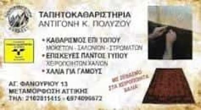 ΠΟΛΥΖΟΥ ΑΝΤΙΓΟΝΗ – ΤΑΠΗΤΟΚΑΘΑΡΙΣΤΗΡΙΟ – ΑΧΑΡΝΕΣ ΑΤΤΙΚΗΣ