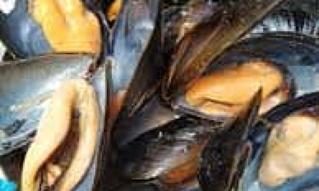 ΠΡΟΒΑΤΑΣ ΓΕΩΡΓΙΟΣ – FISHALIDES – FISHΑΛΙΔΕΣ – ΙΧΘΥΟΠΩΛΕΙΟ – ΜΥΡΙΝΑ ΛΕΣΒΟΥ