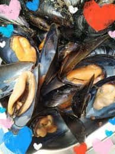 ΠΡΟΒΑΤΑΣ ΓΕΩΡΓΙΟΣ – FISHALIDES – FISHΑΛΙΔΕΣ – ΙΧΘΥΟΠΩΛΕΙΟ – ΜΥΡΙΝΑ ΛΕΣΒΟΥ