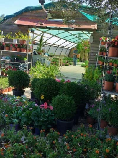 ΦΥΤΩΡΙΑ ΡΕΜΟΥΝΤΗΣ – ΡΕΜΟΥΝΤΗΣ ΓΕΩΡΓΙΟΣ – ΦΥΤΩΡΙΟ – ΛΗΞΟΥΡΙ ΚΕΦΑΛΛΗΝΙΑΣ