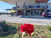 ΕΤΕΚΑ – ΓΡΙΒΕΛΗΣ ΖΗΣΗΣ – ΠΡΑΤΗΡΙΟ ΥΓΡΩΝ ΚΑΥΣΙΜΩΝ – EGNATIA FUEL UP CAFE – ΒΕΝΖΙΝΑΔΙΚΟ ΚΑΤΩ ΑΜΦΙΠΟΛΗ ΣΕΡΡΩΝ
