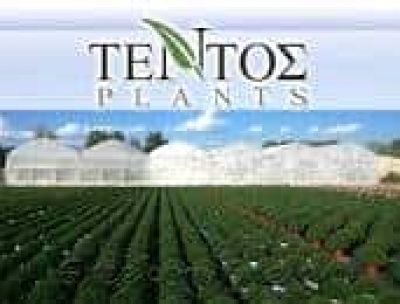 ΤΕΝΤΟΣ ΠΑΝΑΓΙΩΤΗΣ – ΤΕΝΤΟΣ PLANTS – ΦΥΤΩΡΙΟ – ΤΡΙΚΑΛΑ