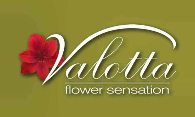 S.VALOTTA – ΓΕΜΙΤΖΑΚΗ ΕΜΜΑΝΟΥΕΛΑ – ΑΝΘΟΠΩΛΕΙΟ – ΗΡΑΚΛΕΙΟ ΚΡΗΤΗΣ