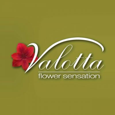S.VALOTTA – ΓΕΜΙΤΖΑΚΗ ΕΜΜΑΝΟΥΕΛΑ – ΑΝΘΟΠΩΛΕΙΟ – ΗΡΑΚΛΕΙΟ ΚΡΗΤΗΣ