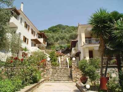 ΣΤΑΜΑΤΗ ΕΛΕΝΗ – NIKI STUDIOS APARTMENTS ΠΑΝΟΡΜΟΣ ΣΚΟΠΕΛΟΣ ΜΑΓΝΗΣΙΑΣ