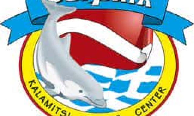 ΠΑΡΓΑΣ ΒΑΣΙΛΗΣ – DOLPHIN DIVING CENTER KALAMITSI – ΚΕΝΤΡΟ ΚΑΤΑΔΥΣΕΩΝ – ΚΑΛΑΜΙΤΣΙ ΧΑΛΚΙΔΙΚΗ