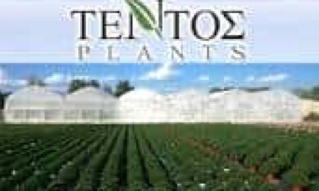 ΤΕΝΤΟΣ ΠΑΝΑΓΙΩΤΗΣ – ΤΕΝΤΟΣ PLANTS – ΦΥΤΩΡΙΟ – ΤΡΙΚΑΛΑ
