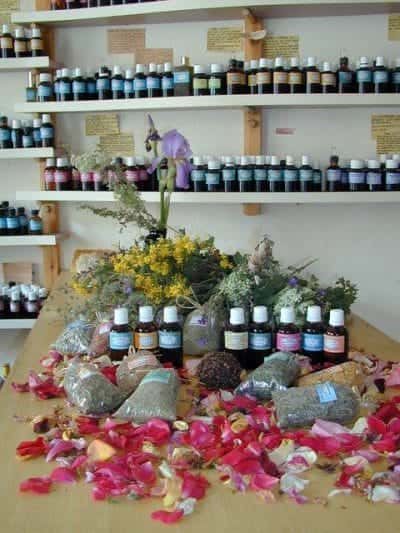 MARIANNA’S WORK SHOP – ΦΥΤΙΚΑ ΕΚΧΥΛΙΣΜΑΤΑ- ΒΟΤΑΝΑ – ΦΑΡΜΑΚΕΥΤΙΚΑ ΦΟΥΝΤΗ ΜΑΡΙΑ – ΜΑΡΟΥΛΑΣ Ν. ΡΕΘΥΜΝΟΥ