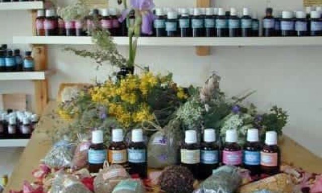 MARIANNA’S WORK SHOP – ΦΥΤΙΚΑ ΕΚΧΥΛΙΣΜΑΤΑ- ΒΟΤΑΝΑ – ΦΑΡΜΑΚΕΥΤΙΚΑ ΦΟΥΝΤΗ ΜΑΡΙΑ – ΜΑΡΟΥΛΑΣ Ν. ΡΕΘΥΜΝΟΥ