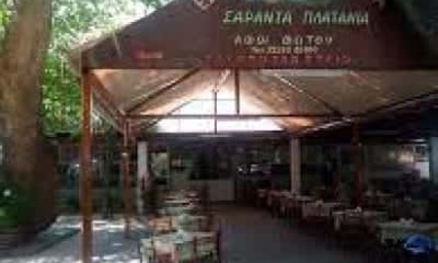 ΦΩΤΟΥ ΧΑΡΙΚΛΕΙΑ – ΣΑΡΑΝΤΑ ΠΛΑΤΑΝΙΑ – ΤΑΒΕΡΝΑ – ΑΙΔΗΨΟΣ ΕΥΒΟΙΑΣ